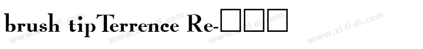brush tipTerrence Re字体转换